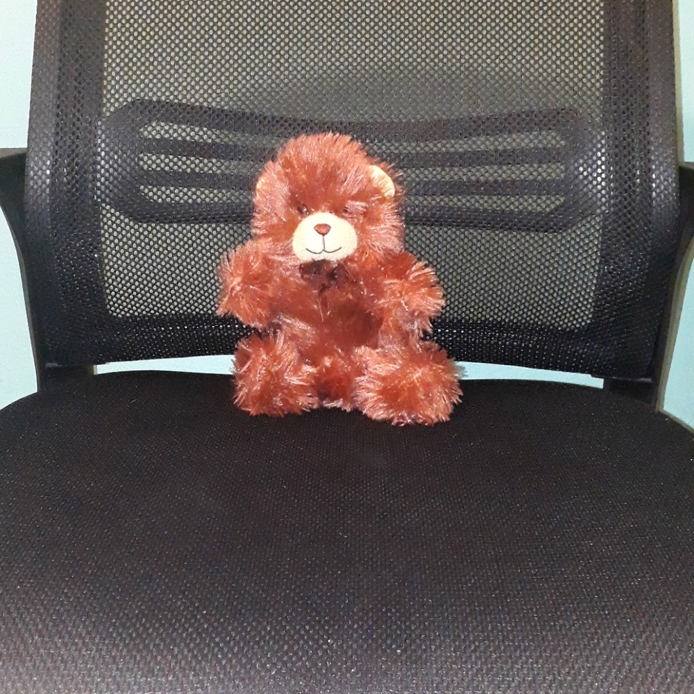 Teddy Bear (NWOT)